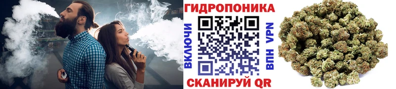 Как найти закладки Полярные Зори Амфетамин  Каннабис  МЕФ  Бутират  ГАШ 